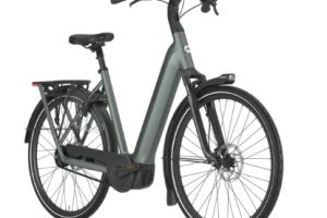 Gazelle BGA1037 Grenoble C5+ First Edition L 28" - Bosch Performance Line 75Nm - 600 Wh - Low-Step RH57 - twilight green (matt) - 2026