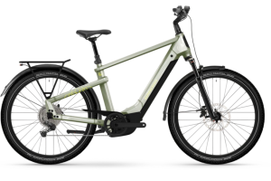 Winora Yakun X10 - Bosch Performance Line CX - 85Nm - 800Wh - RH54 - High - ivory green - gloss