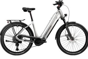 Corratec - LIFE CX8 RD - Performance Line CX Smart System - 100NM - 800Wh - Wave - RH53 - silber, rot, dunkelgrau, schwarz, weiß